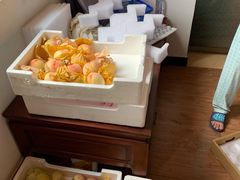 -南汇新场正宗水蜜桃采摘