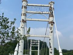 -塘沽森林公园