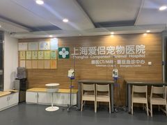 -爱侣宠医·鹦鹉专科·小型哺乳类·异宠专科(灵石路店)