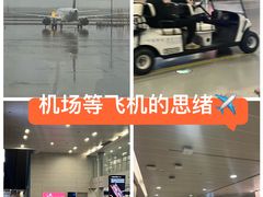 -上海浦东国际机场-T2航站楼