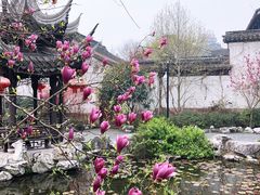 -衣裳街历史文化街区