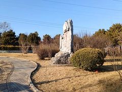 -云岗森林公园