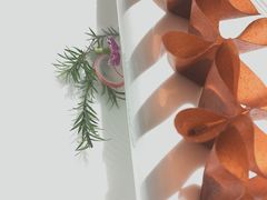 -鱼翅楼·津派砂锅鱼翅(水上公园店)