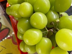 -马陆小张葡萄园农家乐