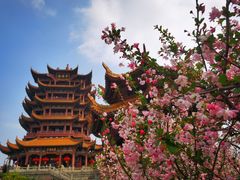 -黄鹤楼公园(黄鹤楼)