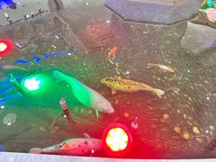 -碧中海汤泉汗蒸酒店