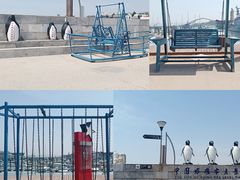 -中华人民共和国水准零点