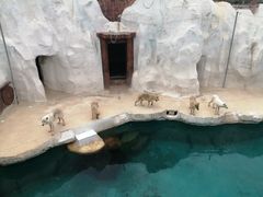 -秦皇岛乐岛海洋王国