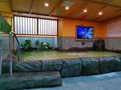 -汤泉良子.足疗按摩.SPA(中关村店)