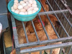 -永汉农贸市场
