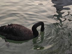 -水磨沟公园