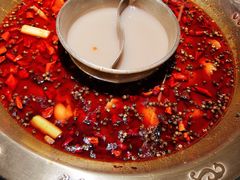 -哥老官重庆美蛙鱼头(圆融广场店)