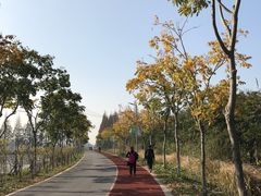 -上海长兴岛郊野公园