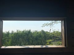 -华侨城湿地公园