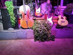 -翠湖湾海鲜音乐餐厅