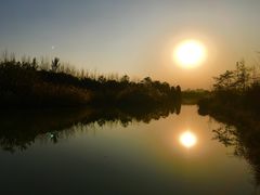 -白鹭湾湿地公园