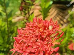 -金鸡岭桥头公园