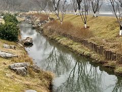 -羊山湖公园