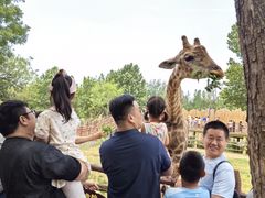 -济南野生动物世界