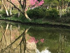 -听松楼·花园酒店·自助餐厅(红梅公园店)