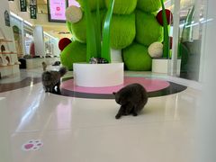 -天河领展广场