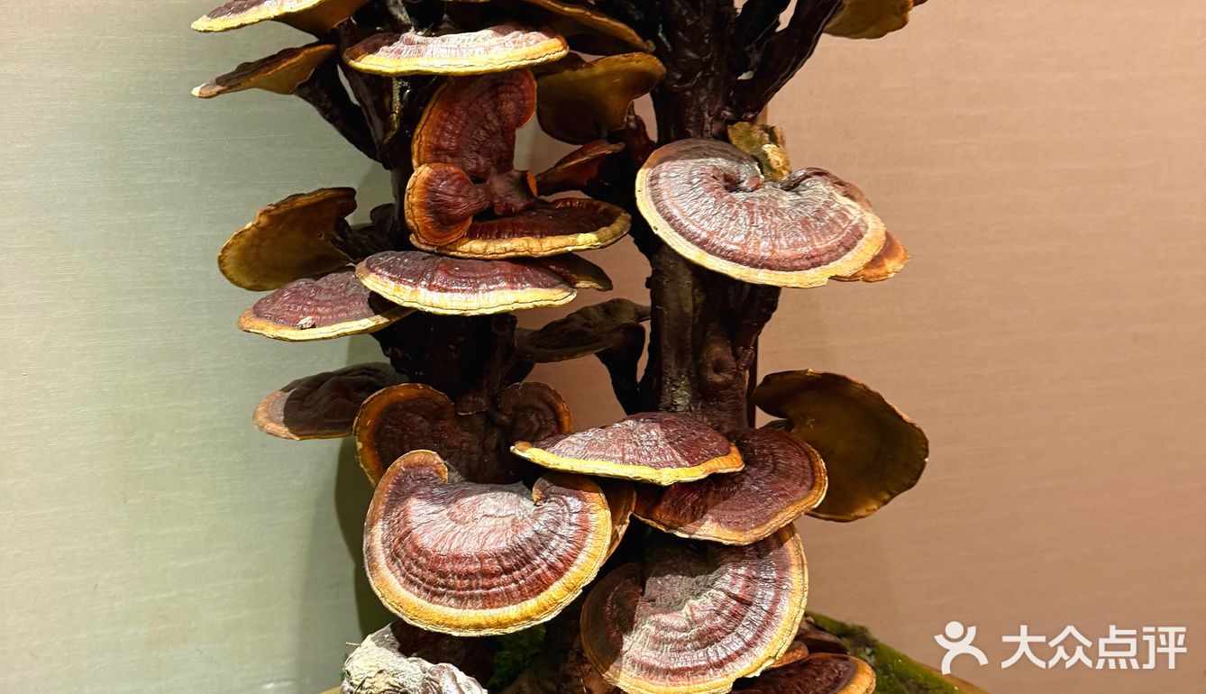 [礼花]凤霞海鲜楼·美食之旅开启🚢吃海鲜咯～