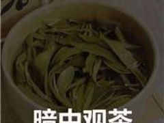 -上海市中医医院(芷江路院区)