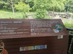 -宁波野生动物园