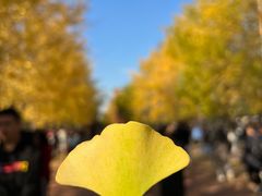 -辽宁大学(崇山校区)