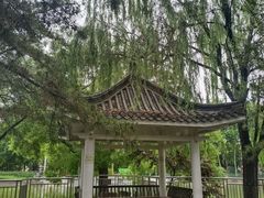 -黄村公园