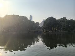 -晓港公园