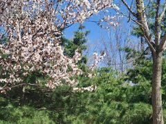 -大兴滨河森林公园