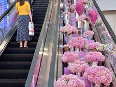 -鹏欣水游城