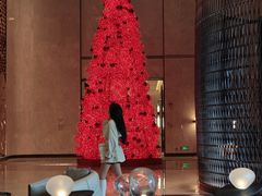 -彩丰楼中餐厅(深圳国际会展中心洲际酒店)