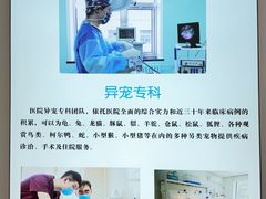 -北京观赏动物医院·24小时大型综合·猫专科·异宠专科