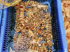 -吴记富苑(朝阳店)