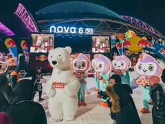 -沈阳奥体冰雪嘉年华