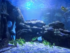 -太平洋海底世界