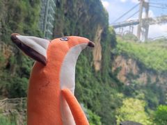 -马岭河峡谷风景区