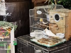 -伊隆斋(什刹海店)