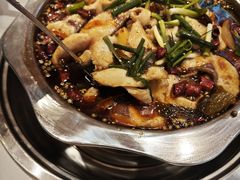 -乡土特色.冷锅鱼.牦牛肉汤锅