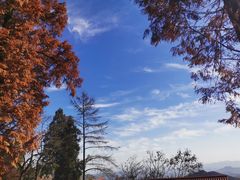 -莫干山风景区