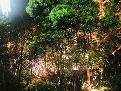 -宝莱纳啤酒花园餐厅PAULANER BRAUHAUS Nanjing(广州路店)