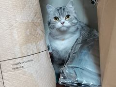 -艾贝尔宠物医院·狂犬免疫点(江山金象城店)