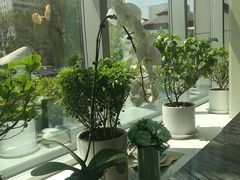 -芳华茶餐厅
