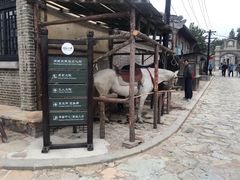 -清风小镇闯关东影视基地