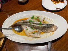 清蒸鲈鱼-眉州东坡·熊猫主题餐厅(枫蓝店)