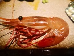 牡丹虾-和彩放题餐厅(酒仙桥店)