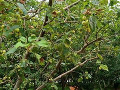 -元大都城垣遗址公园