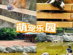 -汕头蓝水星欢乐世界